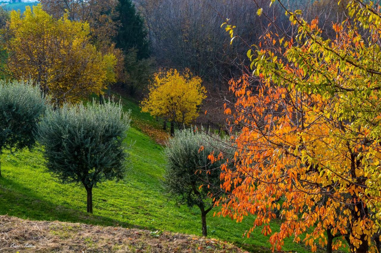 Villa La Casetta à Vittorio Veneto Extérieur photo